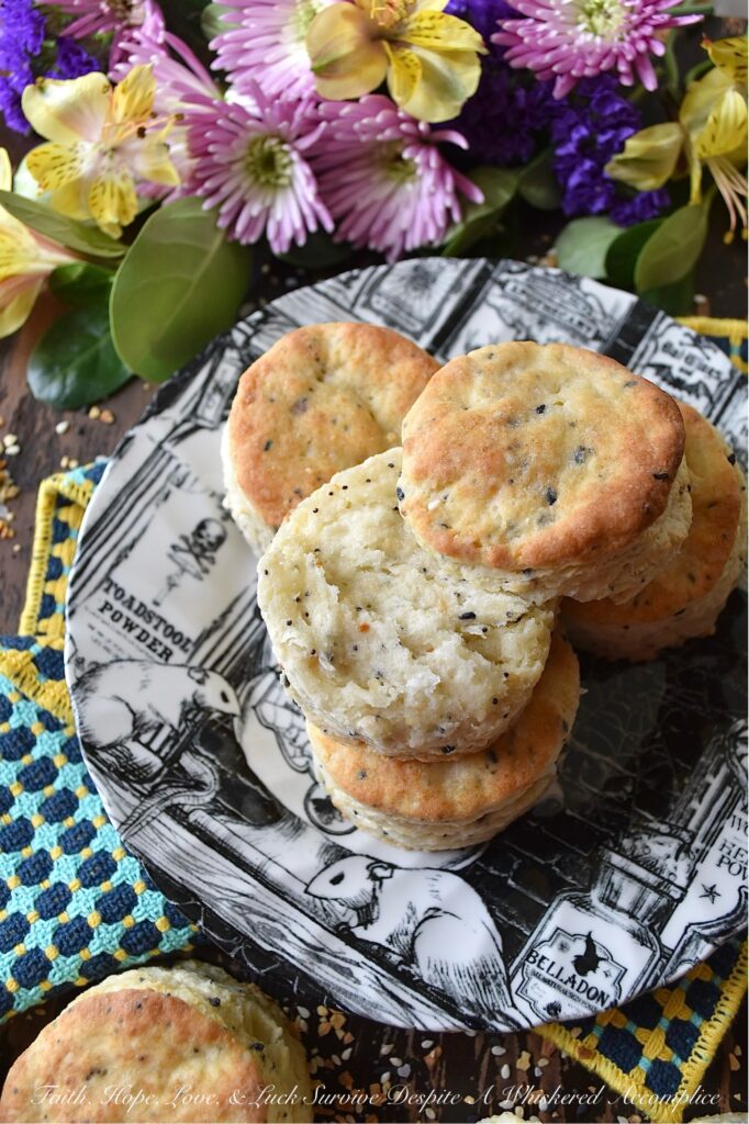Buttery Everything Bagel Seasoning Biscuits - Are you ready to take your biscuit game to the next level? Look no further than this delicious and buttery biscuit recipe. Made with everything bagel seasoning and simple pantry ingredients, these biscuits are the perfect balance of crispy and flaky on the outside, and soft and tender on the inside. The addition of butter, garlic, and onion, along with sesame and poppy seeds, adds a burst of flavor to every bite. These biscuits are both easy to prepare and irresistibly tasty, so get ready to treat yourself to some buttery everything bagel seasoning biscuit amazingness.