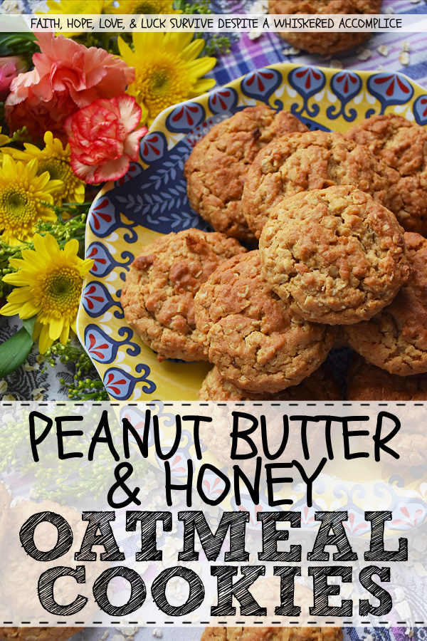 Peanut Butter & Honey Oatmeal Cookies - Oatmeal cookies are truly amazing, however, oatmeal cookies with peanut butter and honey added to them are even more amazing. Make sure you give these cake-like cookies a try. I promise you that you'll absolutely adore their unique texture and honey-kissed flavor.