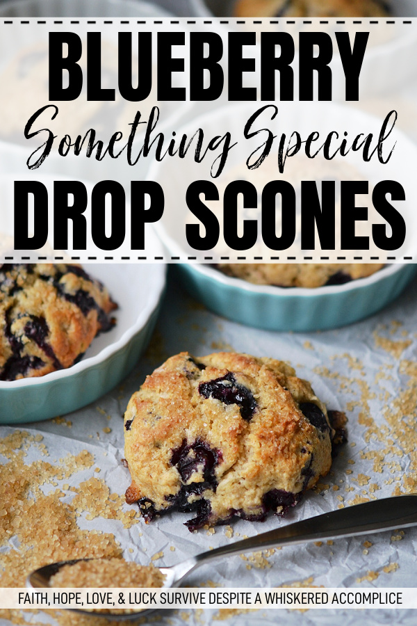 Blueberry Something Special Drop Scones - Looking for a quick and easy way to satisfy your sweet tooth? These blueberry drop scones are not only effortless to make, but they also have a surprise ingredient that takes the flavor to the next level. A wee bit of lime extract is that little something special that adds so much flavor. Bursting with fresh juicy blueberries and topped with a crunchy turbinado sugar topping, these scones are pretty much the perfect treat for just about any occasion.