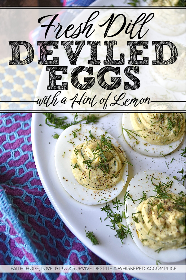Fresh Dill Deviled Eggs with a Hint of Lemon - This easy-to-make recipe delivers a sophisticated twist on a familiar favorite, perfect for any gathering, from casual potlucks to elegant dinners. This recipe takes the classic deviled egg and elevates it with the bright, earthy flavor of fresh dill along with the subtle hint of citrusy lemon zest and tart lemon juice. Whether you're hosting an elegant brunch, a casual gathering, or simply seeking an extraordinary appetizer to elevate your next meal, these deviled eggs are destined to become a crowd-pleaser.