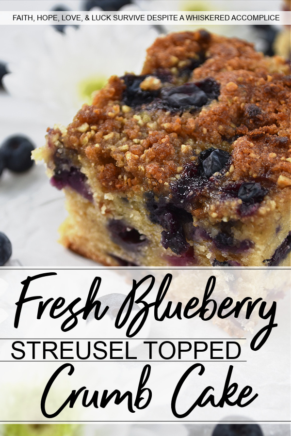 Fresh Blueberry Streusel Topped Crumb Cake - This moist crumb cake is loaded with fresh blueberries and topped with a light streusel topping containing salted pumpkin seeds and brown sugar. I'll leave it up to you whether or not you should eat it for breakfast or for dessert. No matter how you choose to enjoy it, I'm pretty sure you're going to be delighted with its incredible taste and crumbly texture.