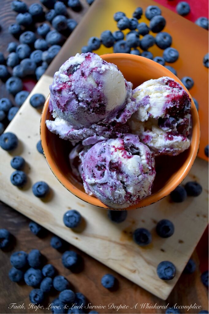 No-Churn Layered Blueberry & Vanilla Ice Cream - Beat the heat this summer with a deliciously creamy and refreshing homemade ice cream that requires no ice cream machine. This easy-to-make no-churn layered ice cream recipe features a classic vanilla ice cream base, whipped up with just three simple ingredients: heavy whipping cream, sweetened condensed milk, and a touch of vanilla. Layers of vanilla ice cream, a quick homemade fruit-filled blueberry sauce, and a mixture of both the vanilla ice cream and the sweet blueberry sauce create a delicious and refreshing treat that's perfect for a hot summer day.