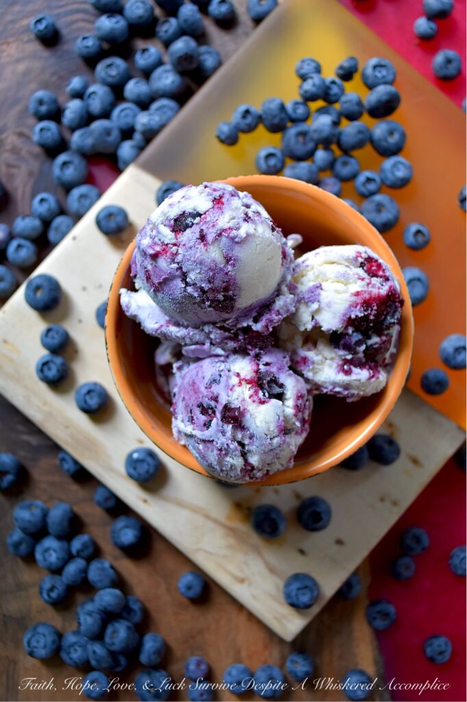 No-Churn Layered Blueberry & Vanilla Ice Cream - Beat the heat this summer with a deliciously creamy and refreshing homemade ice cream that requires no ice cream machine. This easy-to-make no-churn layered ice cream recipe features a classic vanilla ice cream base, whipped up with just three simple ingredients: heavy whipping cream, sweetened condensed milk, and a touch of vanilla. Layers of vanilla ice cream, a quick homemade fruit-filled blueberry sauce, and a mixture of both the vanilla ice cream and the sweet blueberry sauce create a delicious and refreshing treat that's perfect for a hot summer day.
