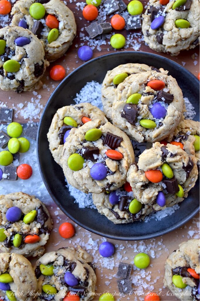 Oatmeal M&M Salted Chocolate Chunk Cookies - Imagine biting into a warm, chewy baked cookie that combines just the right hint of oatmeal and rich, luscious chocolate chunks, along with decorative and colorful M&M’s to add a pop of color and a playful crunch. A sprinkle of fleur de sel or flaky sea salt helps to add that little something extra, creating a sweet and salty combination that is simply irresistible. These salted chocolate chunk cookies with oatmeal and M&M's are the perfect treat to brighten any day, no matter the season.