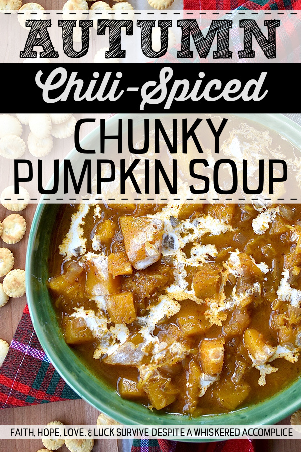 Autumn Chili-Spiced Chunky Pumpkin Soup - With fresh pumpkin as the star ingredient, this one-pot soup invites you to savor the autumn season with every delicious spoonful. Unlike traditional creamy pumpkin soups that can taste rich and heavy, this chili-spiced version is simple to make, healthy, and full of flavor and texture. With just the right amount of spice to help warm you up on a crisp fall day, this chunky pumpkin soup is bound to become a seasonal favorite.