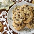 Coconut & Dried Cherry Chocolate Chip Cookies - If you're on the hunt for a simple yet irresistible gussied-up brown sugar cookie recipe, look no further. Imagine biting into a warm, chewy cookie that perfectly balances rich miniature semi-sweet chocolate chips with the crunchy texture of unsweetened shredded coconut and the tart zing of dried cherries. Whether you’re baking cookies for the holidays or simply craving a sweet treat, this recipe is sure to become a cherished favorite.