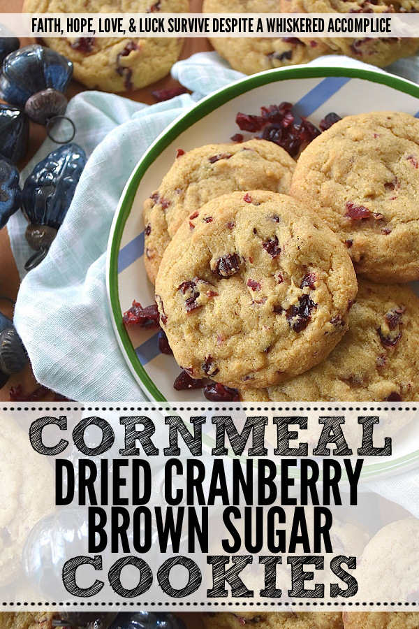 Cornmeal Dried Cranberry Brown Sugar Cookies - While many cookies are typically reserved for dessert, these brown sugar cookies encourage you to think outside of the box. Whether enjoyed alongside a warm bowl of soup, paired with a crisp salad, or as a dessert to conclude a meal, these sweet and savory cornmeal cookies are bound to become an instant favorite, no matter the time of year. With their satisfying yellow cornmeal crunch and their chewy burst of dried cranberry sweetness, they offer a unique and irresistible flavor experience.