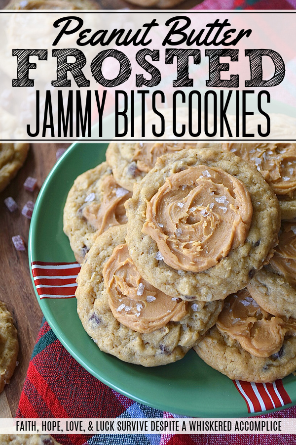 Peanut Butter Frosted Jammy Bits Cookies - These simple brown sugar cookies are no ordinary treat; they’re packed with wholesome quick-cooking oats and bursting with the tangy sweet goodness of soft, chewy raspberry jammy bits. Topped with a luscious easy-to-make peanut butter frosting and a touch of flaky sea salt, these peanut butter-frosted brown sugar cookies are the perfect indulgence for any occasion. Be prepared to make a double batch because everyone will be asking for seconds.