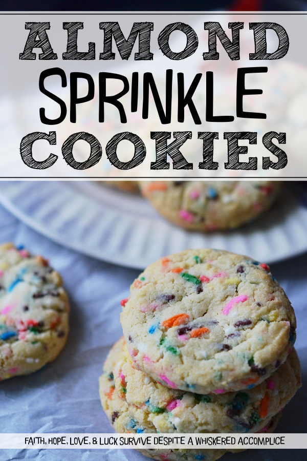 Almond Sprinkle Cookies - What's better than a cookie loaded with lots and lots of rainbow sprinkles? A delicate, sweet, and absolutely yummy sprinkle-packed cookie with a lovely almond flavor. These cookies aren't just pretty, they're seriously delicious.