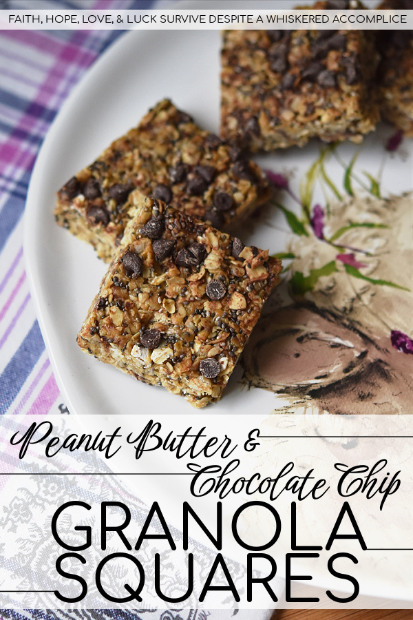 Peanut Butter & Chocolate Chip Granola Squares - These healthier homemade granola squares are incredibly easy to make at home with just a few simple ingredients. You’ll love the chewy texture from quick-cooking oats, the boost of nutrition from chia seeds, and the satisfying flavor of creamy peanut butter. A drizzle of honey provides a touch of sweetness, and a scattering of mini chocolate chips makes them irresistibly good.