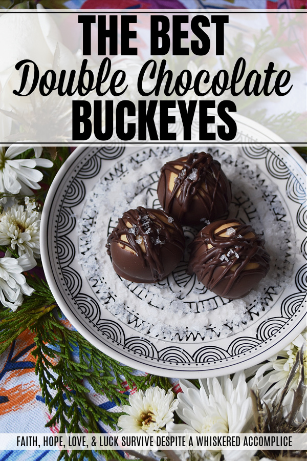 The Best Double Chocolate Buckeyes - Almost everyone loves the taste of chocolate and peanut butter together, especially when they are combined in a creamy Buckeye. These sinfully amazing double chocolate Buckeyes are probably the best ever, thanks to being coated in both milk and dark chocolate and then sprinkled with just the tiniest bit of flakey sea salt. A hint of espresso and vanilla certainly doesn't hurt either.