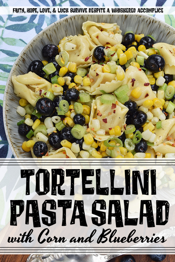 Tortellini Pasta Salad with Corn and Blueberries - I'm always looking for new side salads to bring along with me to cookouts, barbecues, and picnics, which can withstand the heat of summer. This healthy pasta salad made using frozen corn and refrigerated tortellini is the perfect example. It's tossed with fresh blueberries, chopped scallions, and a light olive oil vinaigrette, which makes this a delicious and easy to make pasta salad just right for a hot summer's day.