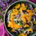 Mandarin Orange & Fennel Mardi Gras Slaw - Get ready to let the good times roll with this vibrant and delicious Mardi Gras-inspired slaw. Crisp purple cabbage, refreshing green fennel and parsley, and not-to-sweet golden mandarin oranges combine to create a visually stunning vegetable side dish with the iconic purple, green, and gold hues of Mardi Gras. Dressed with a simple yet delightful poppy seed dressing, this colorful slaw is the perfect side dish whether you're celebrating Mardi Gras or simply craving a healthy and delicious side dish any day of the year.