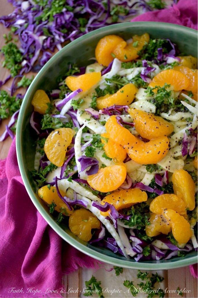 Mandarin Orange & Fennel Mardi Gras Slaw - Get ready to let the good times roll with this vibrant and delicious Mardi Gras-inspired slaw. Crisp purple cabbage, refreshing green fennel and parsley, and not-to-sweet golden mandarin oranges combine to create a visually stunning vegetable side dish with the iconic purple, green, and gold hues of Mardi Gras. Dressed with a simple yet delightful poppy seed dressing, this colorful slaw is the perfect side dish whether you're celebrating Mardi Gras or simply craving a healthy and delicious side dish any day of the year.
