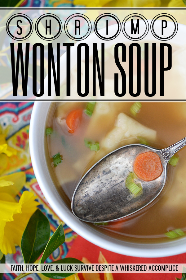Shrimp Wonton Soup - Curling up with a big bowl of homemade soup is pretty much the definition of comfort. And this cozy, slurpable international Shrimp Wonton Soup, packed with plump, ground-shrimp-filled dumplings, provides all the comfort you could ever need. The broth is a little bit of a flavor adventure, with chicken stock, clam juice, and just enough soy sauce to make you wonder why you ever settled for takeout. Add in a handful of thinly sliced carrots and scallions for a pop of color and a sweet, fresh crunch, and you’ve got yourself a bowl of pure happiness. So, the next time you’re eyeing that Chinese takeout menu, just remember how much more delicious this homemade Shrimp Wonton Soup will be.