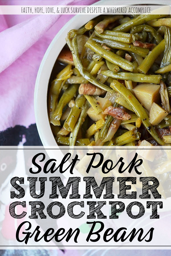 Salt Pork Summer Crockpot Green Beans - These easy crockpot green beans will help you beat the heat this summer while enjoying fresh summer garden vegetables. The key to making this slow-cooked side dish even more flavorful is to add salt pork and a little bit of brown sugar, which helps to create a salty, slightly sweet combination that works well with fresh green beans.