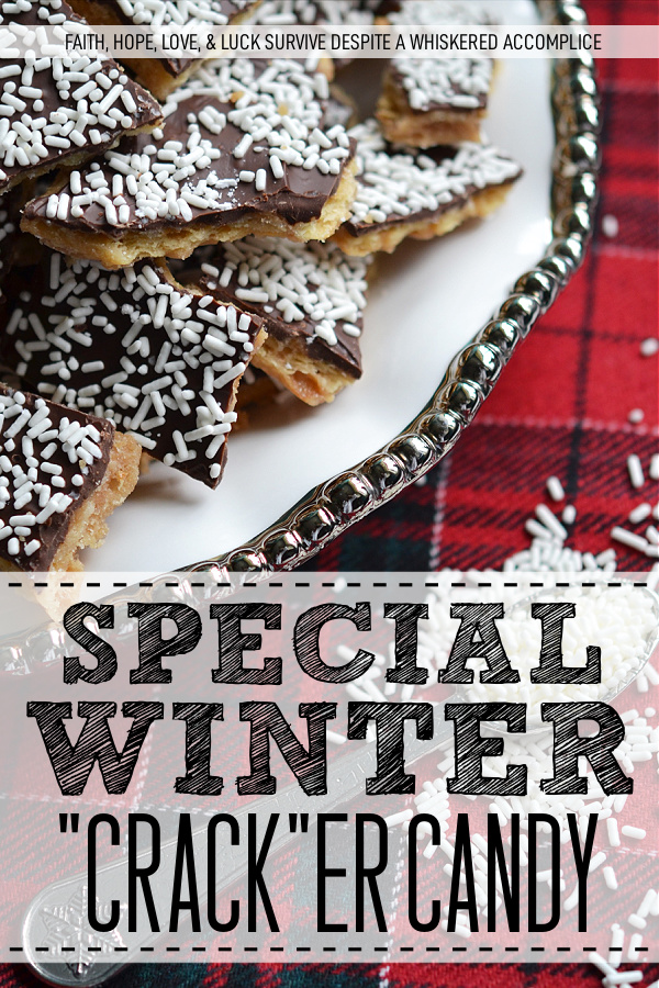 Special Winter Cracker Candy - This isn’t just any sweet treat; it’s a delightful winter cracker candy that’s both simple to make and super addictive. Picture a crispy, toffee-like cracker base smothered in rich, melted semi-sweet chocolate and showered with a dusting of white candy sprinkles for a fun, festive touch. Whether you’re celebrating a cozy snow day or just want a quick and easy dessert that will wow your friends and family, this cracker candy is sure to be a hit.