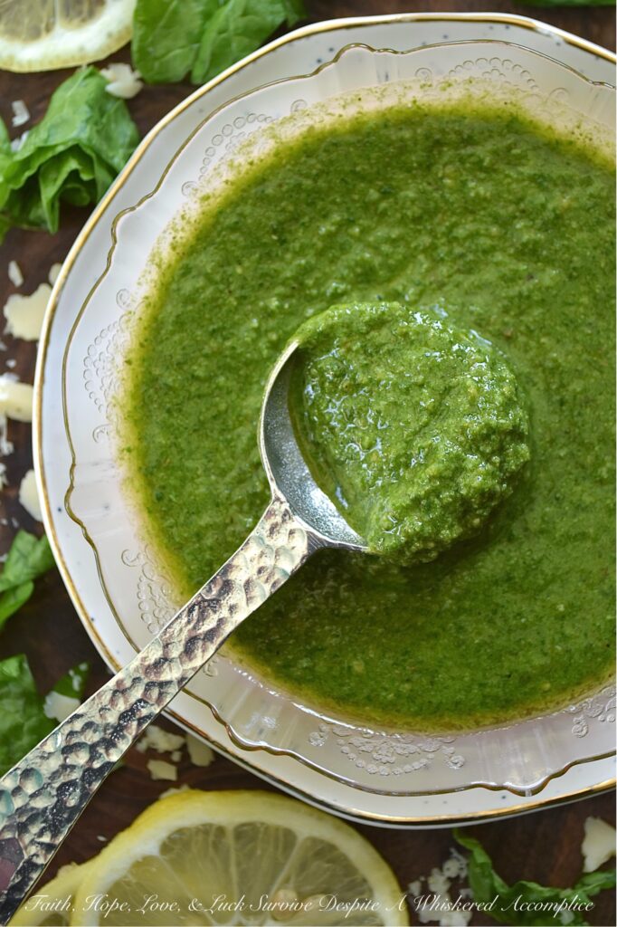 Swiss Chard Pesto with Lemon Zest - Tired of the same old basil pesto? Or perhaps you're fresh out of basil and looking to shake things up a bit? This recipe offers a delicious and unique twist on traditional pesto, utilizing Swiss chard leaves to create a vibrant and flavorful condiment. Perfect for dipping crusty bread, drizzling over pizza, or tossing with your favorite pasta, this Swiss chard pesto, with its bright hint of lemon zest, adds a burst of freshness that you'll enjoy adding to all of your favorite dishes.