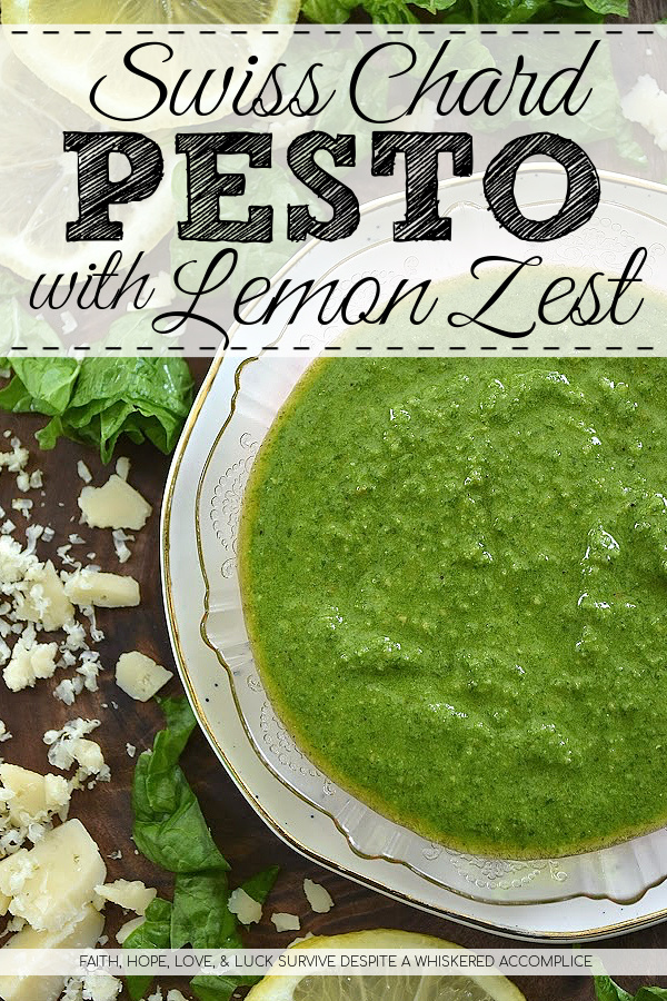 Swiss Chard Pesto with Lemon Zest - Tired of the same old basil pesto? Or perhaps you're fresh out of basil and looking to shake things up a bit? This recipe offers a delicious and unique twist on traditional pesto, utilizing Swiss chard leaves to create a vibrant and flavorful condiment. Perfect for dipping crusty bread, drizzling over pizza, or tossing with your favorite pasta, this Swiss chard pesto, with its bright hint of lemon zest, adds a burst of freshness that you'll enjoy adding to all of your favorite dishes.