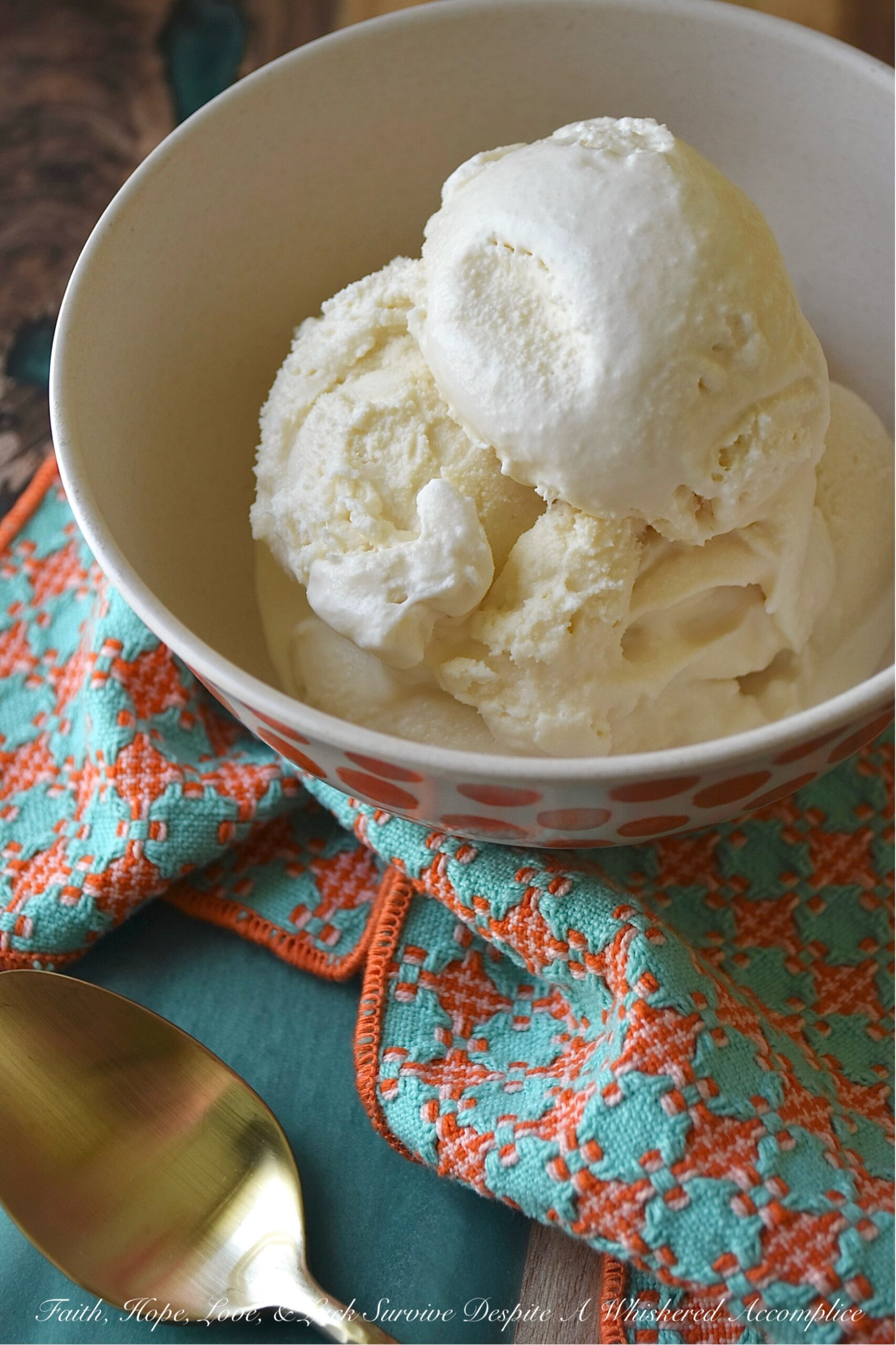 Classic Vanilla Ice Cream (Easy No Egg Recipe)