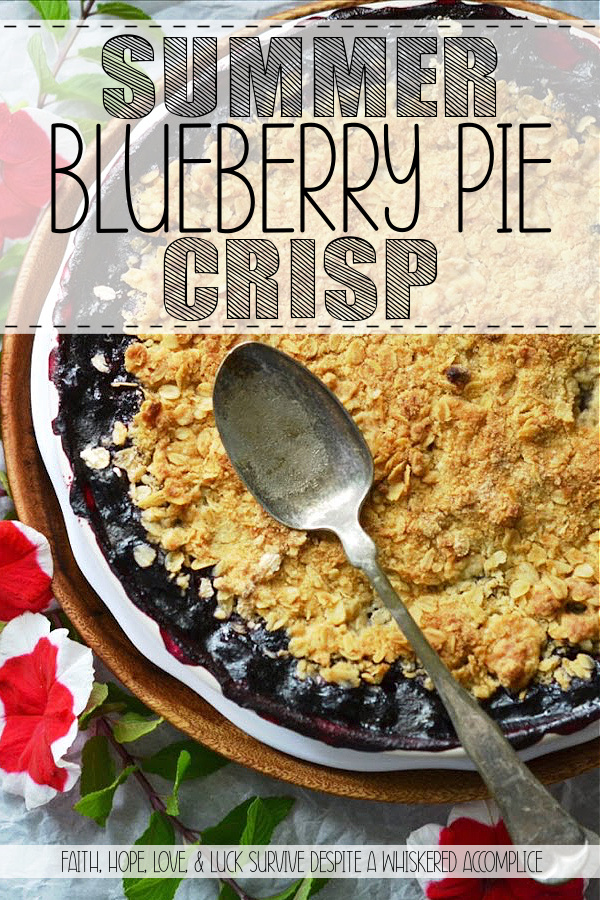 Summer Blueberry Pie Crisp - This is the perfect recipe for when you don't want to spend a lot of time in the kitchen. You can have this Summer Blueberry Pie Crisp assembled and in the oven in 10 minutes, leaving you more time to relax in the sun. With its bubbly, sweet blueberry filling and golden, crunchy oat topping, this is the kind of dessert that deserves your fanciest pie dish.