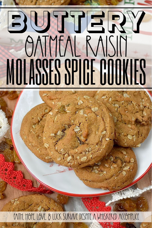 Buttery Oatmeal Raisin Molasses Spice Cookies - There’s nothing quite like biting into a soft, chewy molasses spice cookie, all warm with ginger, cinnamon, nutmeg, and cloves. But what if you were to take that classic comfort and give it a little twist? Picture all that cozy spice, but with the buttery chew of an oatmeal cookie and sweet golden raisins tucked into every bite. It’s like your favorite oatmeal raisin cookie and your go-to molasses spice cookie decided to team up and become the ultimate cookie duo. It’s the familiar comfort you crave, elevated into something entirely new and utterly addictive. If you love oatmeal raisin cookies, prepare to fall in love all over again.