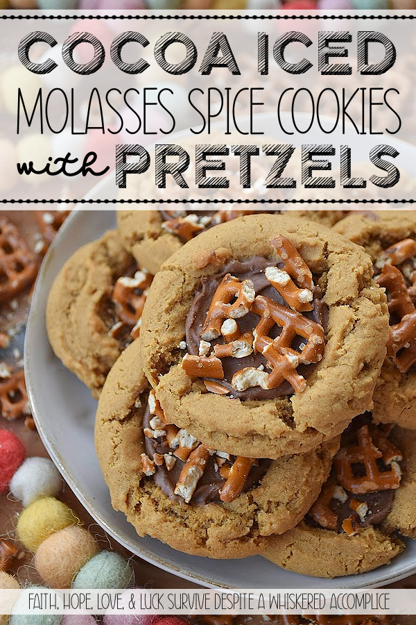 Cocoa Iced Molasses Spice Cookies with Pretzels - Imagine the warm, nostalgic scent of ginger, cinnamon, nutmeg, and cloves filling your kitchen. And then, picture a molasses-spice cookie so perfectly soft and chewy that it practically melts in your mouth. Now, add a sweet, fudgy dollop of rich cocoa icing right in the center. And for the grand finale, a salty, crunchy sprinkle of crushed pretzels. It’s sweet, it’s salty, it’s soft, it’s crunchy. These cocoa-iced cookies with pretzels are everything you’ve ever wanted in a single treat. Get ready to fall in love.