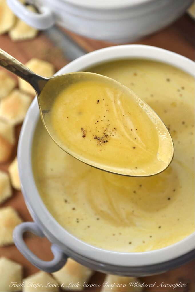 Creamy Butternut Squash Soup with Whiskey - You really don’t need a mile-long list of ingredients to take a classic bowl of creamy puréed butternut squash soup from ho-hum to absolutely swoon-worthy. The secret to unlocking a five-star-worthy butternut squash soup lies in a generous splash of whiskey and a rich swirl of heavy cream. The whiskey lends a subtle, smoky sweetness that makes you wonder why you ever made it any other way, and the cream? Well, it turns the whole thing into a decadent bowl of pure, velvety comfort. After one spoonful, you’ll never look at butternut squash soup the same way again.
