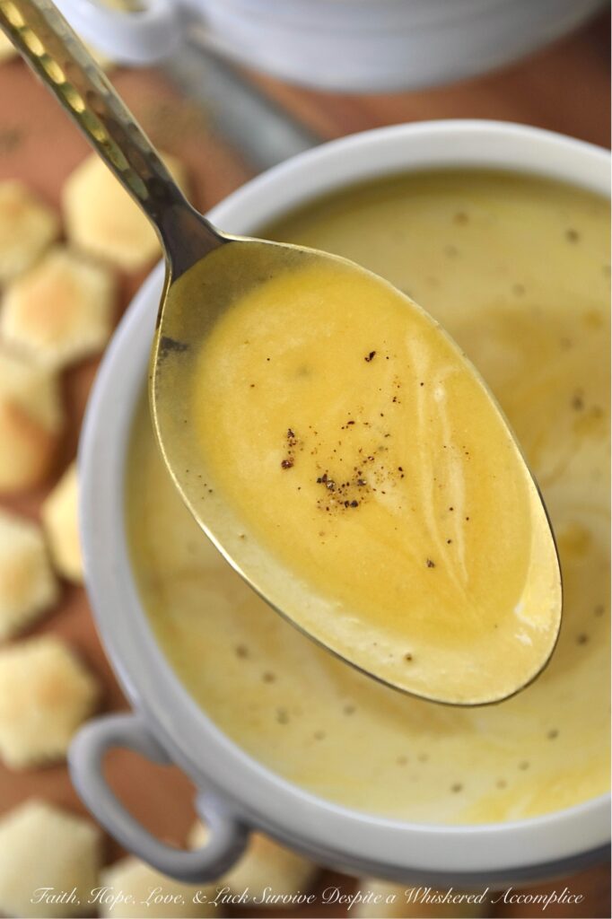 Creamy Butternut Squash Soup with Whiskey - You really don’t need a mile-long list of ingredients to take a classic bowl of creamy puréed butternut squash soup from ho-hum to absolutely swoon-worthy. The secret to unlocking a five-star-worthy butternut squash soup lies in a generous splash of whiskey and a rich swirl of heavy cream. The whiskey lends a subtle, smoky sweetness that makes you wonder why you ever made it any other way, and the cream? Well, it turns the whole thing into a decadent bowl of pure, velvety comfort. After one spoonful, you’ll never look at butternut squash soup the same way again.