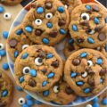 Cookie Monster Molasses Spice Cookies - What’s blue, adorable, and disappears from the cookie jar in seconds? These Cookie Monster Molasses Spice Cookies. Loaded with gooey semi-sweet chocolate chips and brought to life with a pair of silly edible candy eyeballs and blue M&M's Minis, these soft, chewy, super-chocolatey molasses spice chocolate chip cookies are ridiculously fun to decorate and even more fun to eat. They're part delicious, part adorable, and 100% guaranteed to be devoured by your own little monsters.