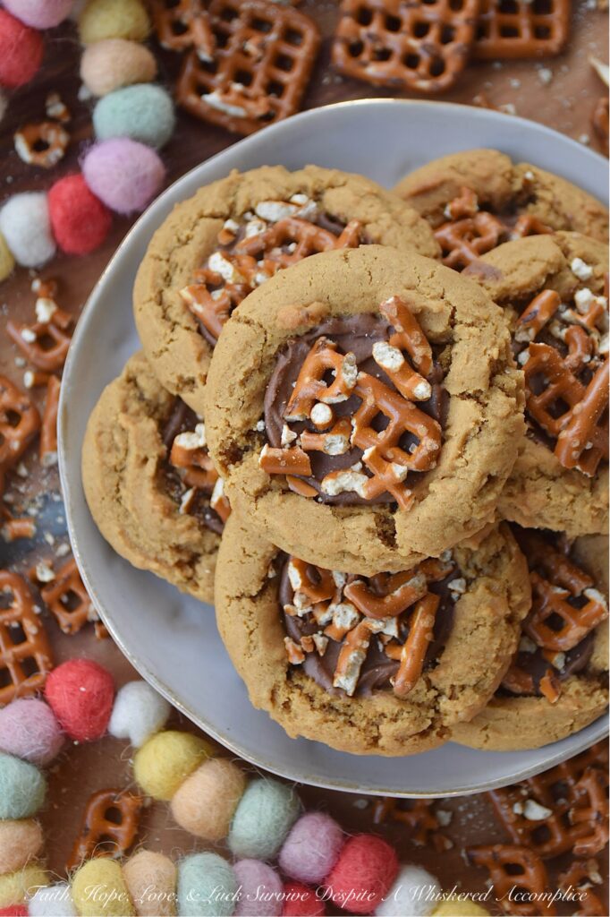 Cocoa Iced Molasses Spice Cookies with Pretzels - Imagine the warm, nostalgic scent of ginger, cinnamon, nutmeg, and cloves filling your kitchen. And then, picture a molasses-spice cookie so perfectly soft and chewy that it practically melts in your mouth. Now, add a sweet, fudgy dollop of rich cocoa icing right in the center. And for the grand finale, a salty, crunchy sprinkle of crushed pretzels. It’s sweet, it’s salty, it’s soft, it’s crunchy. These cocoa-iced cookies with pretzels are everything you’ve ever wanted in a single treat. Get ready to fall in love.