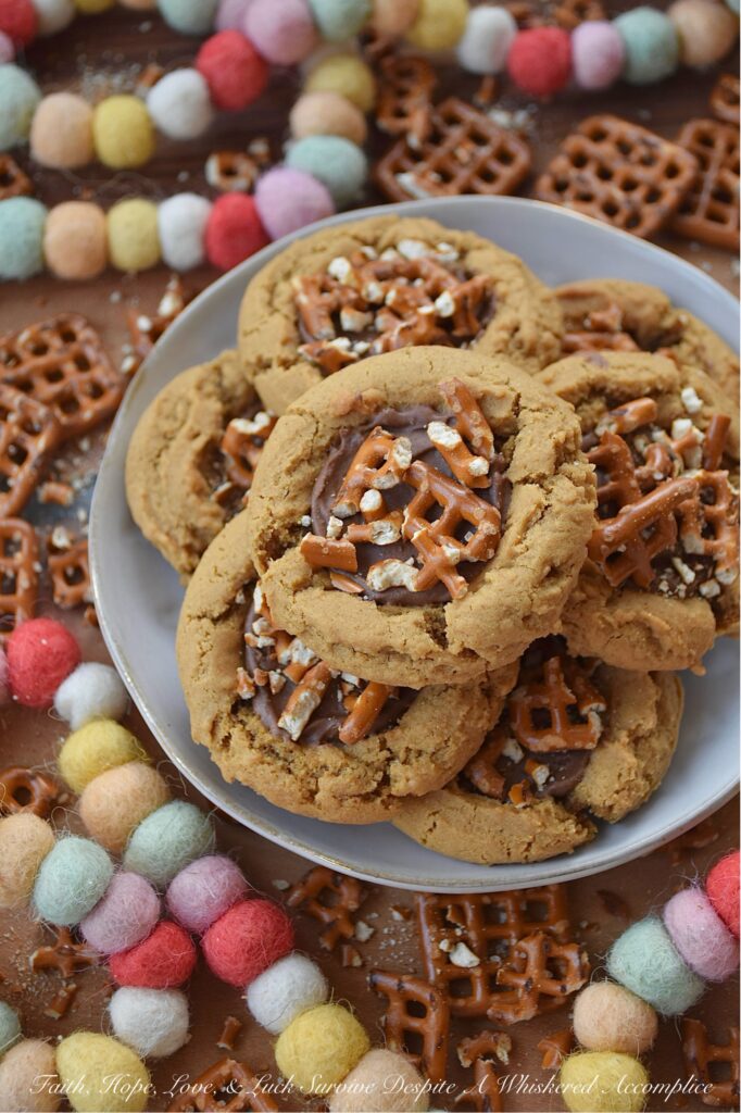 Cocoa Iced Molasses Spice Cookies with Pretzels - Imagine the warm, nostalgic scent of ginger, cinnamon, nutmeg, and cloves filling your kitchen. And then, picture a molasses-spice cookie so perfectly soft and chewy that it practically melts in your mouth. Now, add a sweet, fudgy dollop of rich cocoa icing right in the center. And for the grand finale, a salty, crunchy sprinkle of crushed pretzels. It’s sweet, it’s salty, it’s soft, it’s crunchy. These cocoa-iced cookies with pretzels are everything you’ve ever wanted in a single treat. Get ready to fall in love.