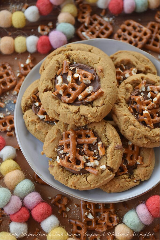 Cocoa Iced Molasses Spice Cookies with Pretzels - Imagine the warm, nostalgic scent of ginger, cinnamon, nutmeg, and cloves filling your kitchen. And then, picture a molasses-spice cookie so perfectly soft and chewy that it practically melts in your mouth. Now, add a sweet, fudgy dollop of rich cocoa icing right in the center. And for the grand finale, a salty, crunchy sprinkle of crushed pretzels. It’s sweet, it’s salty, it’s soft, it’s crunchy. These cocoa-iced cookies with pretzels are everything you’ve ever wanted in a single treat. Get ready to fall in love.