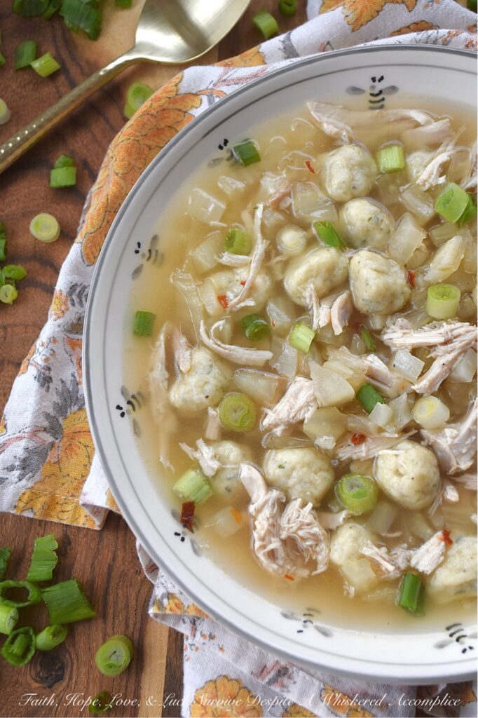Rotisserie Chicken Xavier Soup with Fennel - Let's be honest, when you're craving comfort, nothing quite hits the spot like chicken and dumplings. But what if you’re in the mood for something a little lighter, without a heavy cream base to weigh you down? This Xavier Soup takes all the comforting vibes of a classic chicken noodle soup and gives it a brilliant upgrade. After simmering a rotisserie chicken carcass into a simple yet flavorful golden broth, in go the fluffy, bite-sized dumplings, plenty of tender shredded rotisserie chicken, and a generous amount of crunchy diced fennel for a subtle, earthy anise kick. A final shower of chopped scallions brings a pop of color and a fresh finish. This rotisserie chicken soup is the perfect mashup of rustic comfort and simple elegance, perfect for sick days, chilly nights, and every moment in between.