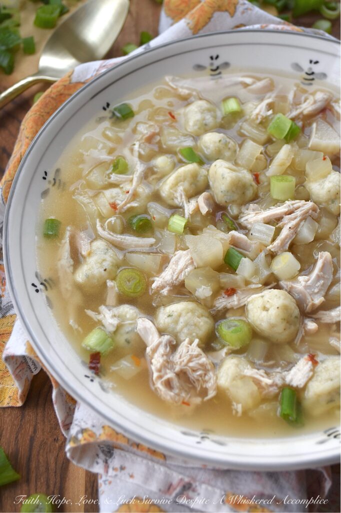 Rotisserie Chicken Xavier Soup with Fennel - Let's be honest, when you're craving comfort, nothing quite hits the spot like chicken and dumplings. But what if you’re in the mood for something a little lighter, without a heavy cream base to weigh you down? This Xavier Soup takes all the comforting vibes of a classic chicken noodle soup and gives it a brilliant upgrade. After simmering a rotisserie chicken carcass into a simple yet flavorful golden broth, in go the fluffy, bite-sized dumplings, plenty of tender shredded rotisserie chicken, and a generous amount of crunchy diced fennel for a subtle, earthy anise kick. A final shower of chopped scallions brings a pop of color and a fresh finish. This rotisserie chicken soup is the perfect mashup of rustic comfort and simple elegance, perfect for sick days, chilly nights, and every moment in between.