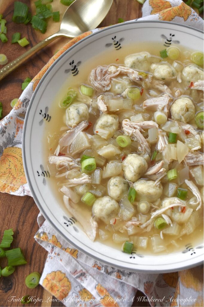 Rotisserie Chicken Xavier Soup with Fennel - Let's be honest, when you're craving comfort, nothing quite hits the spot like chicken and dumplings. But what if you’re in the mood for something a little lighter, without a heavy cream base to weigh you down? This Xavier Soup takes all the comforting vibes of a classic chicken noodle soup and gives it a brilliant upgrade. After simmering a rotisserie chicken carcass into a simple yet flavorful golden broth, in go the fluffy, bite-sized dumplings, plenty of tender shredded rotisserie chicken, and a generous amount of crunchy diced fennel for a subtle, earthy anise kick. A final shower of chopped scallions brings a pop of color and a fresh finish. This rotisserie chicken soup is the perfect mashup of rustic comfort and simple elegance, perfect for sick days, chilly nights, and every moment in between.