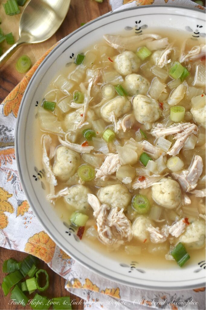 Rotisserie Chicken Xavier Soup with Fennel - Let's be honest, when you're craving comfort, nothing quite hits the spot like chicken and dumplings. But what if you’re in the mood for something a little lighter, without a heavy cream base to weigh you down? This Xavier Soup takes all the comforting vibes of a classic chicken noodle soup and gives it a brilliant upgrade. After simmering a rotisserie chicken carcass into a simple yet flavorful golden broth, in go the fluffy, bite-sized dumplings, plenty of tender shredded rotisserie chicken, and a generous amount of crunchy diced fennel for a subtle, earthy anise kick. A final shower of chopped scallions brings a pop of color and a fresh finish. This rotisserie chicken soup is the perfect mashup of rustic comfort and simple elegance, perfect for sick days, chilly nights, and every moment in between.