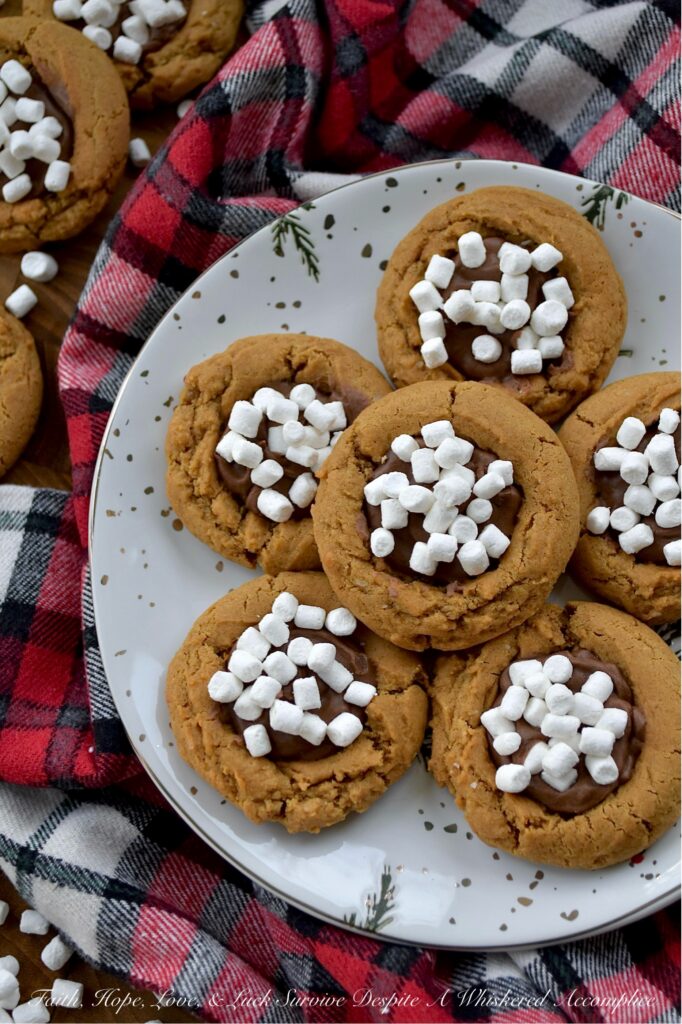 Hot Cocoa & Marshmallow Molasses Spice Cookies - If you're looking for that one special treat to celebrate a snow day, elevate your holiday cookie platter, or simply make a gray day feel brighter, this is it. These chewy molasses spice cookies are absolutely packed with the kind of warm, spicy goodness that makes your kitchen smell like a gingerbread wonderland. Think ginger, cinnamon, a whisper of nutmeg, and a pinch of cloves. Nestled inside each spiced delight is a generous dollop of rich, decadent, and incredibly quick-to-make hot cocoa icing. And for the grand finale? A generous sprinkle of miniature marshmallow bits that lend a sweet vanilla flavor and an absolutely irresistible crunch. They're adorable, they're delicious, and they’re the perfect companion to a warm and cozy cup of hot chocolate.