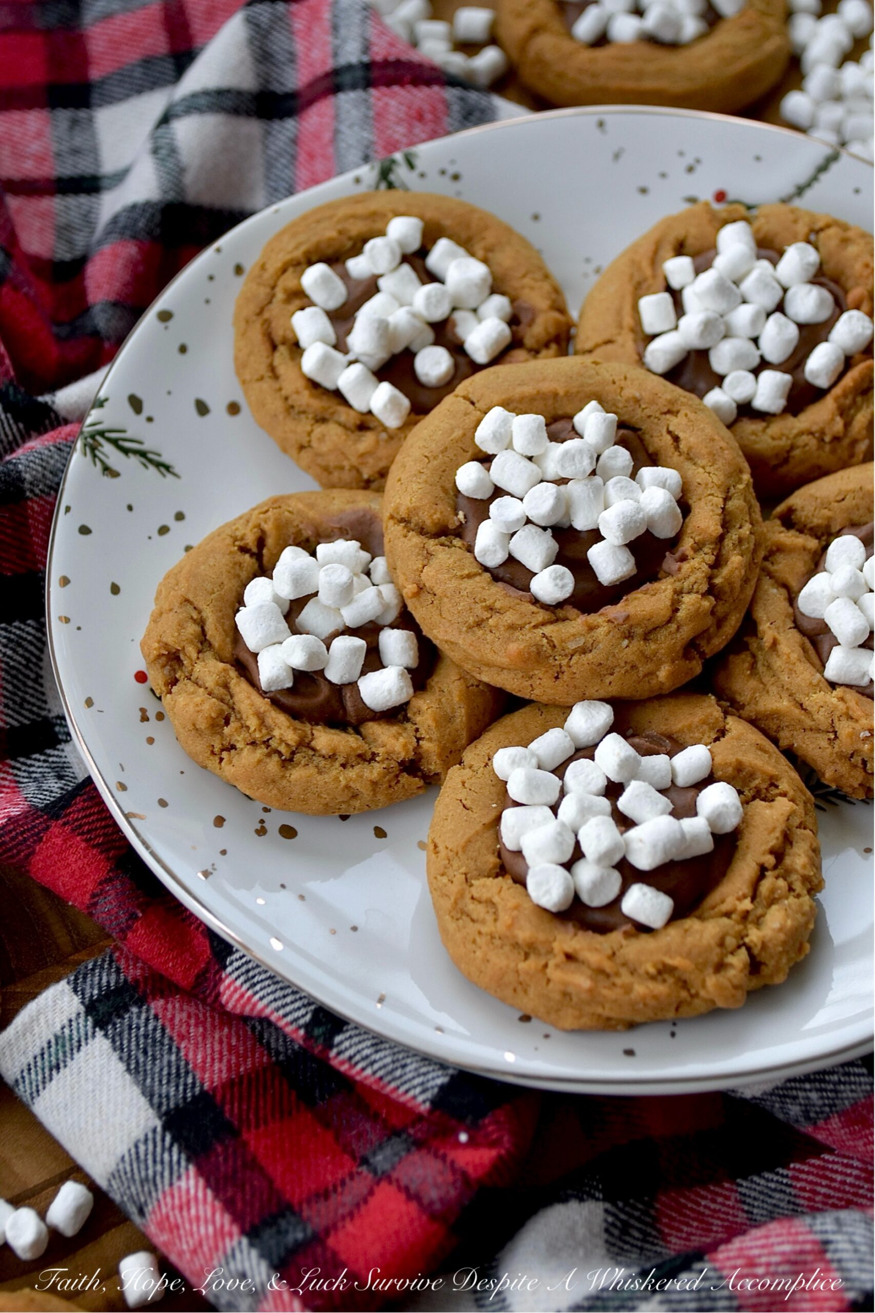 Hot Cocoa & Marshmallow Molasses Spice Cookies