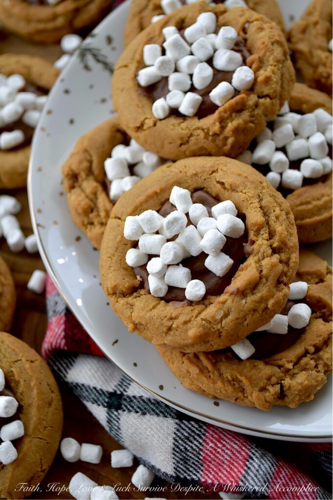 Hot Cocoa & Marshmallow Molasses Spice Cookies - If you're looking for that one special treat to celebrate a snow day, elevate your holiday cookie platter, or simply make a gray day feel brighter, this is it. These chewy molasses spice cookies are absolutely packed with the kind of warm, spicy goodness that makes your kitchen smell like a gingerbread wonderland. Think ginger, cinnamon, a whisper of nutmeg, and a pinch of cloves. Nestled inside each spiced delight is a generous dollop of rich, decadent, and incredibly quick-to-make hot cocoa icing. And for the grand finale? A generous sprinkle of miniature marshmallow bits that lend a sweet vanilla flavor and an absolutely irresistible crunch. They're adorable, they're delicious, and they’re the perfect companion to a warm and cozy cup of hot chocolate.