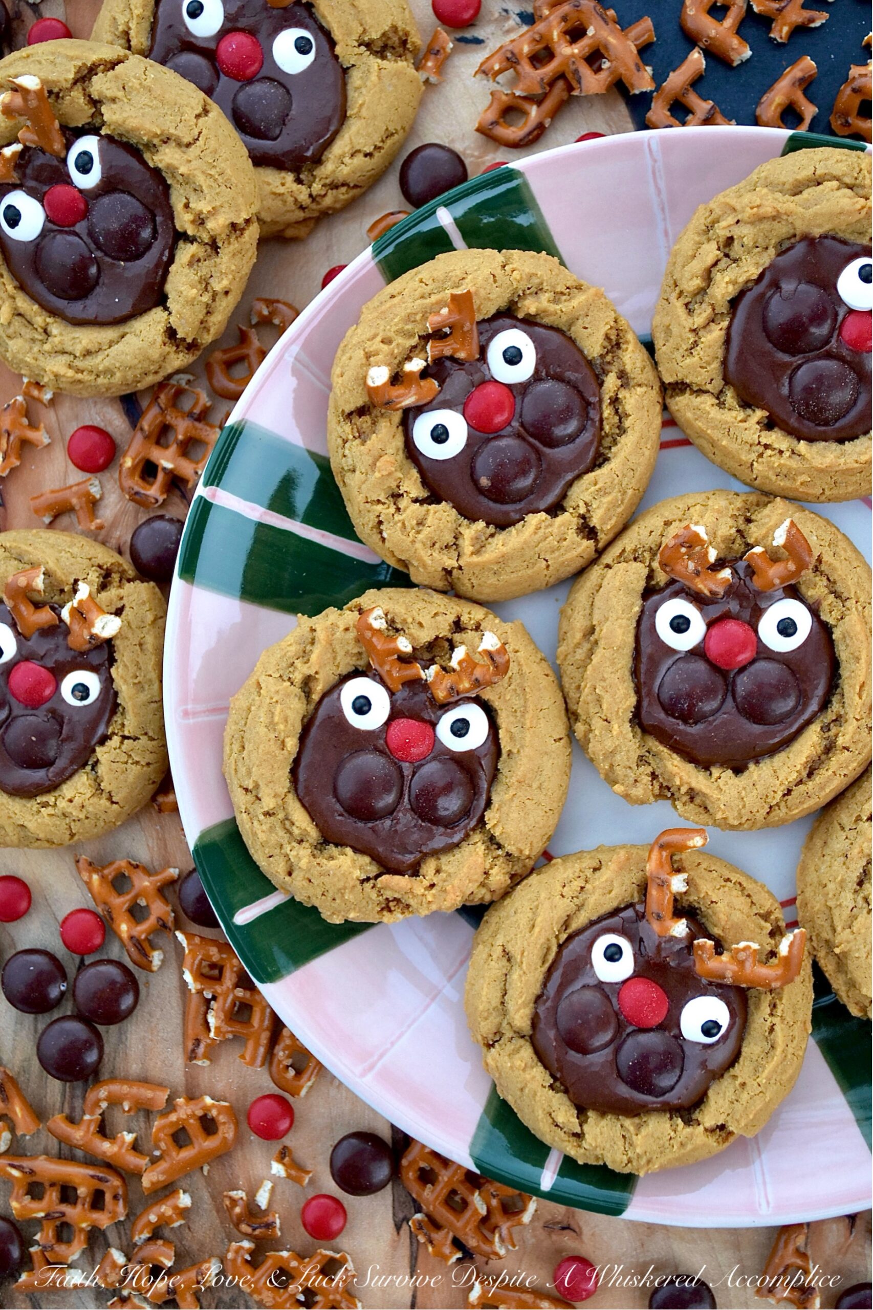 Reindeer Cocoa Iced Molasses Spice Cookies