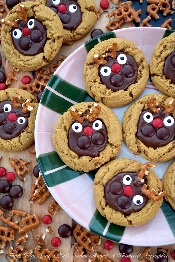 Reindeer Cocoa Iced Molasses Spice Cookies - Gingerbread men, you might want to scoot over and make some room, because there’s a brand new crew showing up on this year’s Christmas cookie plate, and they’re bringing a whole lot of charm and a little bit of delicious chaos. These seriously incredible molasses spice cookies are chewy, flavorful, packed with holiday spirit, and topped with a sweet vanilla and cocoa-flavored powdered sugar icing. With pretzel antlers perched just so, chunky brown M&M's cheeks, adorable red M&M's Minis noses, and googly candy eyes that dare you not to smile, these reindeer cookies are guaranteed to be the star of any holiday gathering. Santa, Rudolph, and the entire reindeer entourage are going to get a giggle out of these Reindeer Cocoa Iced Molasses Spice Cookies this Christmas.