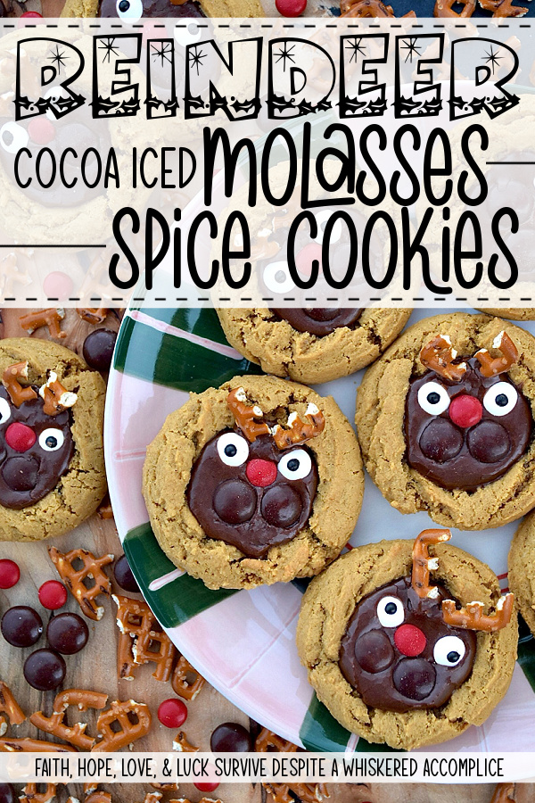 Reindeer Cocoa Iced Molasses Spice Cookies - Gingerbread men, you might want to scoot over and make some room, because there’s a brand new crew showing up on this year’s Christmas cookie plate, and they’re bringing a whole lot of charm and a little bit of delicious chaos. These seriously incredible molasses spice cookies are chewy, flavorful, packed with holiday spirit, and topped with a sweet vanilla and cocoa-flavored powdered sugar icing. With pretzel antlers perched just so, chunky brown M&M's cheeks, adorable red M&M's Minis noses, and googly candy eyes that dare you not to smile, these reindeer cookies are guaranteed to be the star of any holiday gathering. Santa, Rudolph, and the entire reindeer entourage are going to get a giggle out of these Reindeer Cocoa Iced Molasses Spice Cookies this Christmas.