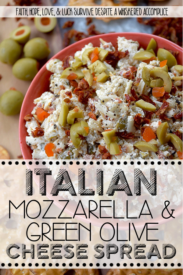 Italian Mozzarella & Green Olive Cheese Spread - If you’re looking for a cheese spread that’s ready to party, this Italian-inspired mozzarella cheese spread is it. Loaded with salty pimento-stuffed green olives, sweet sun-dried tomatoes, and a good sprinkle of Italian herbs, this is the kind of cheesy goodness that’s just as happy piled onto pretzels, crackers, or pita crisps as it is tucked inside a mini sandwich. And, with its cheery pop of red and green, this appetizer is basically waving its arms and shouting, "Pick me!" for your holiday snack table.