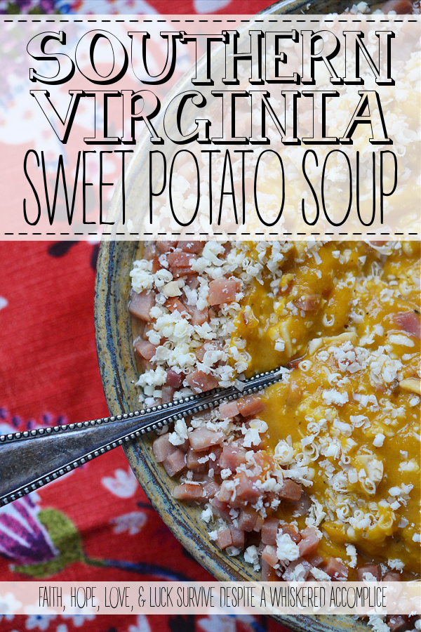 Southern Virginia Sweet Potato Soup - This Southern-inspired sweet potato and thyme slow-cooker or crockpot soup is the perfect excuse to trash up a bowl of soup with lots of extra fixings. Finely diced Virginia ham, shredded extra sharp white cheddar cheese, and roughly chopped Virginia peanuts take this comforting soup from ordinary to extraordinary.
