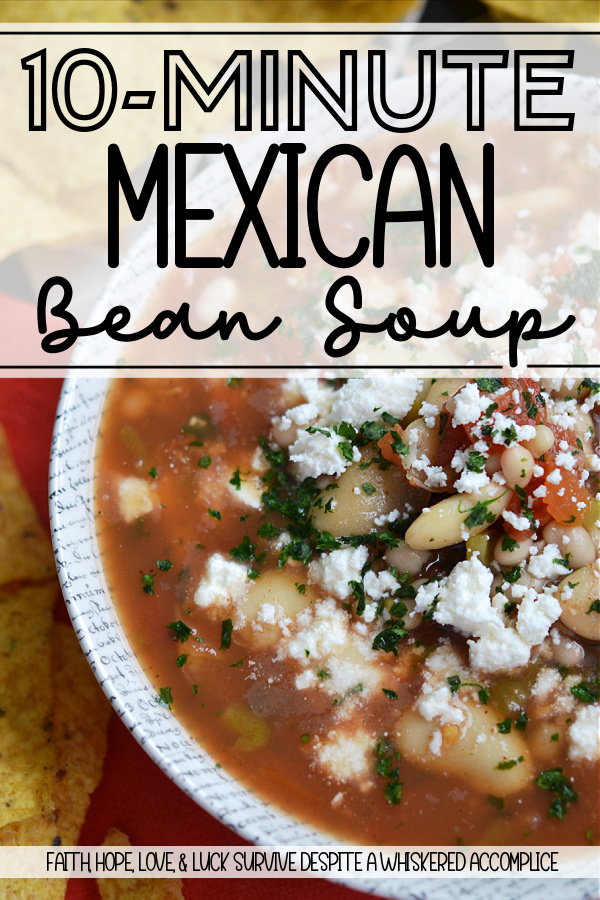 10-Minute Mexican Bean Soup - In less than ten minutes, you can make a healthy vegetarian soup with very little work involved, unless you consider using a can opener work. Canned beans, tomatoes, and green chiles add texture to this Mexican-inspired soup, while a handful of fresh cilantro and a few teaspoons of taco seasoning wake everything up with a burst of flavor. And let’s not forget the finishing touch. The cheese. A generous sprinkle of queso fresco really makes this bean soup pop, but honestly, whatever cheese you’ve got hiding in your fridge will do the trick. Cheddar, manchego, or even pepper jack if you’re feeling a little spicy. This is your soup, after all, so go ahead and make it your own.