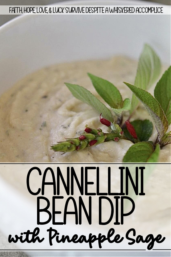 Cannellini Bean Dip with Pineapple Sage - This easy-to-make dip, made with canned cannellini beans, gets an herby lift from pineapple sage, which has a sweet, fruity flavor, reminiscent of pineapples. Serve this creamy dip with whatever you have on hand. Crunchy fresh veggies, pita chips, or even crusty hunks of torn bread. And, if you can’t get your hands on fresh pineapple sage, don’t worry, regular sage will do the trick. Just use a little less since it packs a much earthier punch. Either way, you’ve got yourself a snack that’s hard to resist.