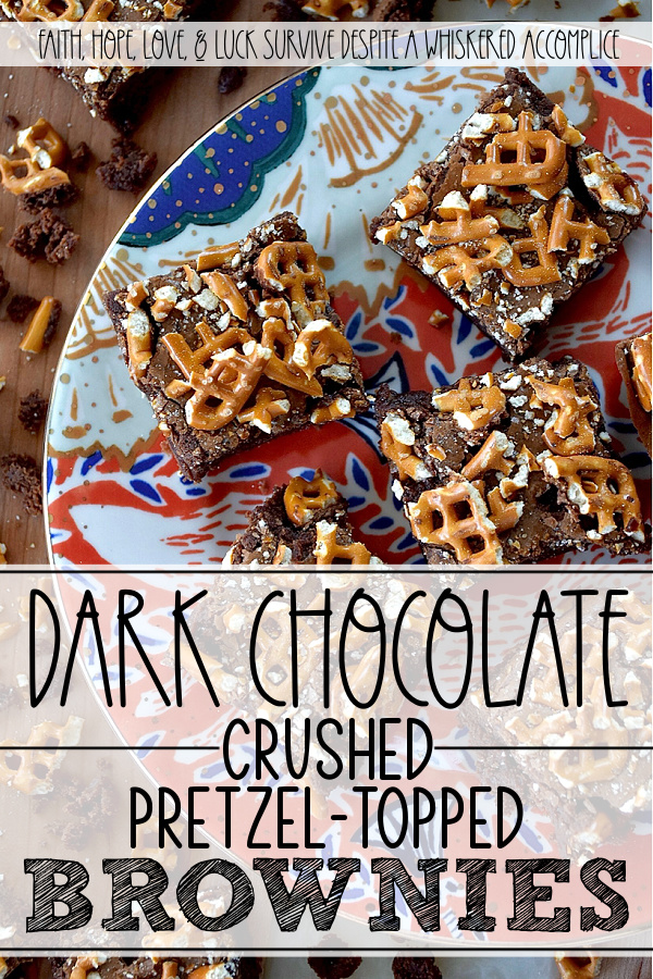 Dark Chocolate Crushed Pretzel-Topped Brownies - These lil' beauties manage to be both fudgy and cakey all at once, with a salty, crunchy bite from the crushed pretzel topping that keeps things both interesting and flavorful. They’re not too sweet either, which means you can actually taste the deep, rich chocolate flavor from both the dark chocolate candy bar and unsweetened cocoa powder they are made with. If you’re a brownie lover who also has a soft spot for pretzels, you absolutely need to bake a batch of these dark chocolate crushed pretzel-topped brownies.
