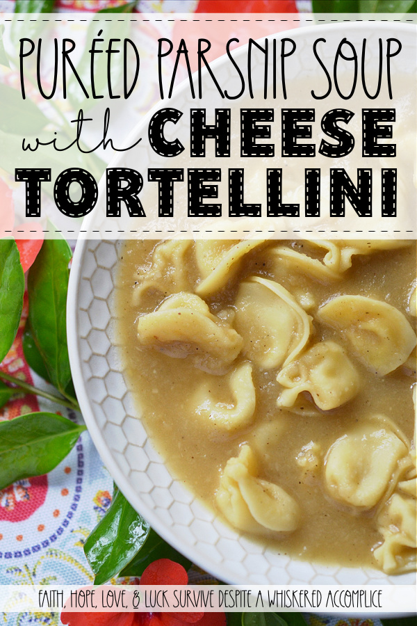 Puréed Parsnip Soup with Cheese Tortellini - If you’ve ever found yourself staring at a pile of parsnips and wondering what on earth to do with them, get ready to meet your new favorite soup. This comforting parsnip soup is packed with flavor and nutrition from its grated parsnips and diced onion, which are puréed until smooth after simmering in vegetable broth. But wait, it gets even better. Just when you think you’re about to serve up a simple meatless puréed soup, in go the mini cheese tortellini, turning this flavorful soup into a meal that’s not only hearty but satisfying and full of flavor. I’m willing to bet even the pickiest eaters at your table will be asking for seconds.
