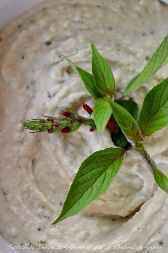 Cannellini Bean Dip with Pineapple Sage - This easy-to-make dip, made with canned cannellini beans, gets an herby lift from pineapple sage, which has a sweet, fruity flavor, reminiscent of pineapples. Serve this creamy dip with whatever you have on hand. Crunchy fresh veggies, pita chips, or even crusty hunks of torn bread. And, if you can’t get your hands on fresh pineapple sage, don’t worry, regular sage will do the trick. Just use a little less since it packs a much earthier punch. Either way, you’ve got yourself a snack that’s hard to resist.